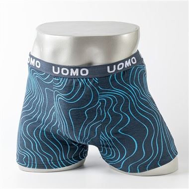 Custom Men's Boxer Slips Print voor Heren Trunk Underwear